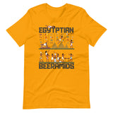 Egyptian Beeramids