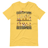 Egyptian Beeramids