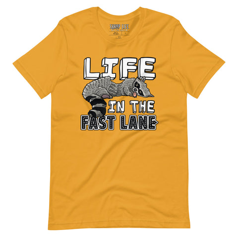 Life in the Fast Lane